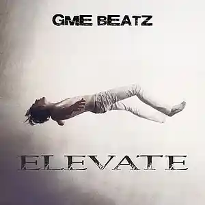 Picture for song 'Elevate **FREE TAGGED DOWNLOAD**' by artist 'GME BEATZ'