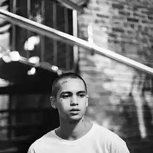 Picture for song 'Younger (Dominic Fike Type Beat)' by artist 'In Bloom'