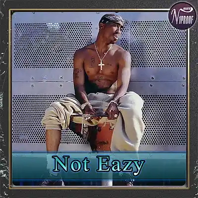 Picture for song 'Eminem x Tupac Type Beat Not Eazy' by artist 'N1PROOF BEATS'