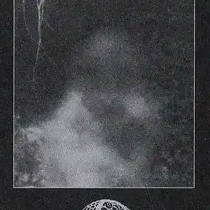 Picture for song 'Alek' by artist 'Peippo'