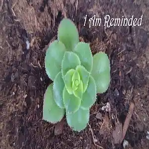 Picture for song 'I Am Reminded' by artist 'Sean Ferree'