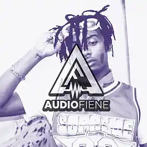 Picture for song 'Noise (Wiz, Playboi Carti type)' by artist 'Audio Fiene'