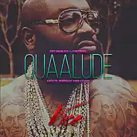 Picture for song '*$old* Quaalude -FREEDL (@D2therJ)' by artist 'D2theRJ'