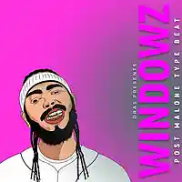 Picture for song 'Windowz' by artist 'Dras On The Beat'