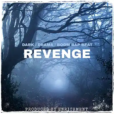 Picture for song 'Revenge (Dark / Drama / Boom Bap Beat)' by artist 'Enrichment'