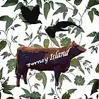 Picture for song 'My Spaceman' by artist 'Forney Island'