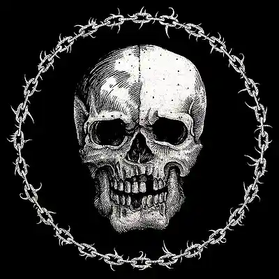 Picture for song 'LOADED UP (Buy 1 Get 2 FREE)' by artist 'HXSHXR'