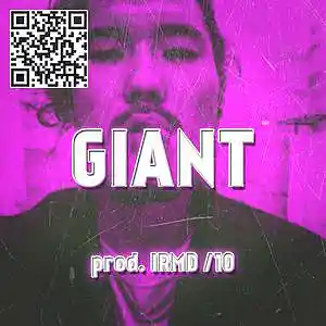 Picture for song 'GIANT (2=4)' by artist 'IRMD'