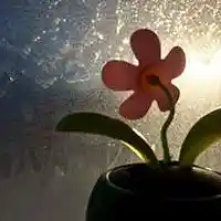 Picture for song 'Aim High & Above' by artist 'Jamey Darnold'