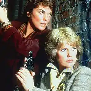 Picture for song 'Cagney and Lacey Theme' by artist 'Previous Signs of Decay'