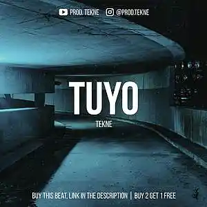 Picture for song 'Tuyo' by artist 'valn.maker'