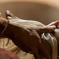 Picture for song '170402 40 Days of Discipleship - Service' by artist 'St Johns Church Sermons'