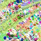 Picture for song 'Stream of Consciousness' by artist 'The Serendipitous Cacophonies'