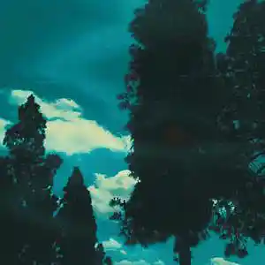 Picture for song 'THE WEEKND x CHILDISH GAMBINO TYPE BEAT - Wait' by artist 'WHAT?BOYBEATS'