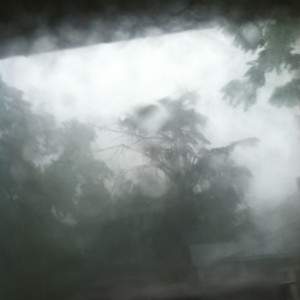 Picture for song 'the storm' by artist 'Chamo Mile'