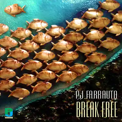 Picture for song 'Make The First Move' by artist 'P.J.Farrauto'