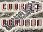 Picture for song 'Abused Evolution (Bush vs Obama)' by artist '27 Alias Clay Is Charles Bronson'