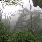 Picture for song '(sold)Kant 5top Tha Rain' by artist '40kal TheGlock'