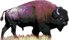 Picture for song 'a non-linear narrative of art and murder' by artist 'acid buffalo'