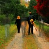 Picture for song 'Now It's Over' by artist 'Acoustic Love Child'