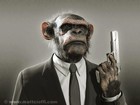 Picture for song 'Endless Days II (FREE DOWNLOAD)' by artist 'African Creationz'