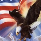 Picture for song 'The Star-Spangled Banner / America The Beautiful' by artist 'AgaZzi'