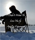 Picture for song 'I Didn't Want To Lose You ( Original Composition )' by artist 'AgaZzi Cojuangco'
