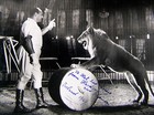 Picture for song 'hungry circus' by artist 'Agent'