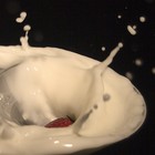 Picture for song 'Strawberry Jam' by artist 'Al Di Cicco'
