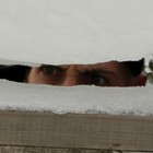 Picture for song 'Crooked Eyes' by artist 'The Trez - T R E Z'