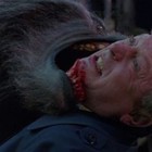 Picture for song 'Prowler on the loose (prod.by toZuProductions)' by artist 'AMSTERDAMISH'