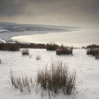 Picture for song 'Bay Reflections' by artist 'andrew wesche'