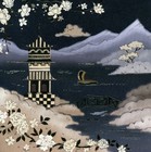 Picture for song 'PianoCon.2.M2.270711.F2011b.mp3' by artist 'Antony D I Barnard'