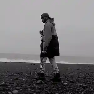 Picture for song 'storm' by artist 'AprelMusic'