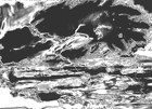 Picture for song 'making me wonder' by artist 'Archief Bizar'