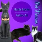 Picture for song 'dollhouse of the damned' by artist 'Astro Al'