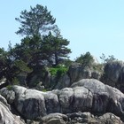 Picture for song 'What Is Underground Is What Holds Us (2:35min)' by artist 'Aural Pleasure: The Poetry of Brenda Clews'