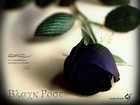 Picture for song 'Even this shall pass away remix' by artist 'Automatik3000'