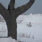 Picture for song 'pathetique 072611' by artist 'Autonomous Anonymous'