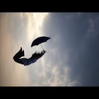 Picture for song 'Fly Away (Produced by AJ the Arabb)' by artist 'A.Y.S.O.P. (Another Young Squad Of Producers)'