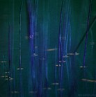 Picture for song 'Row the Tide/Night Light' by artist 'BabaYagaHouse'