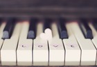 Picture for song 'Piano Love 81 bpm' by artist 'BeatsbyBG'