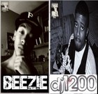 Picture for song 'Beezie380 Jr -- 'Slut' feat 1200 (SMASH!! 2008)' by artist 'Beezie 380 Jr'