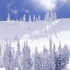 Picture for song 'Vivaldi Virtual Invierno' by artist 'Belosound'
