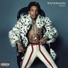Picture for song '*WIZ KHALIFA* O.N.I.F.C. **D-LOAD**' by artist 'Ben Rushan'