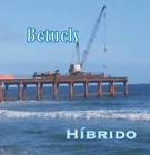 Picture for song 'Bengala' by artist 'BETUELS'