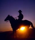 Picture for song 'Track 60 (Southern Metal Idea)' by artist 'HmanMusic'