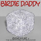 Picture for song 'Rolf-Peters Daliga Prylar' by artist 'Birdie Daddy'