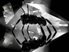 Picture for song 'Chicken' by artist 'Blackhart Beats'