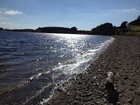 Picture for song 'Bonnies Swim' by artist 'Brendan Jewell'